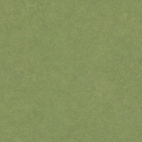 Ground Grass Field