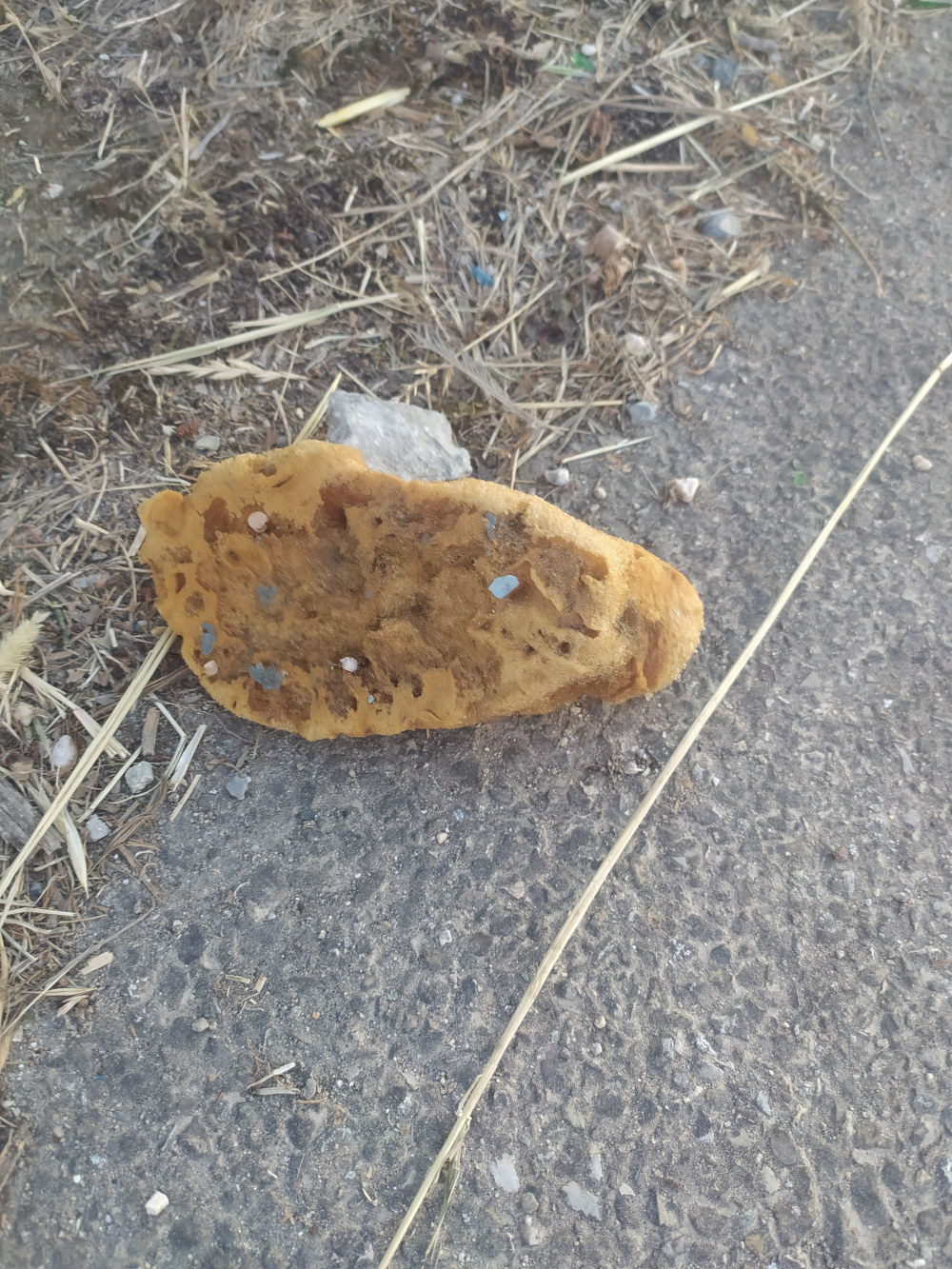 Litter evidence 08