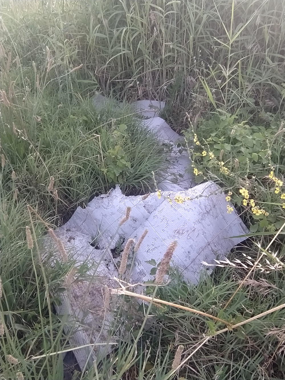 Litter evidence 18