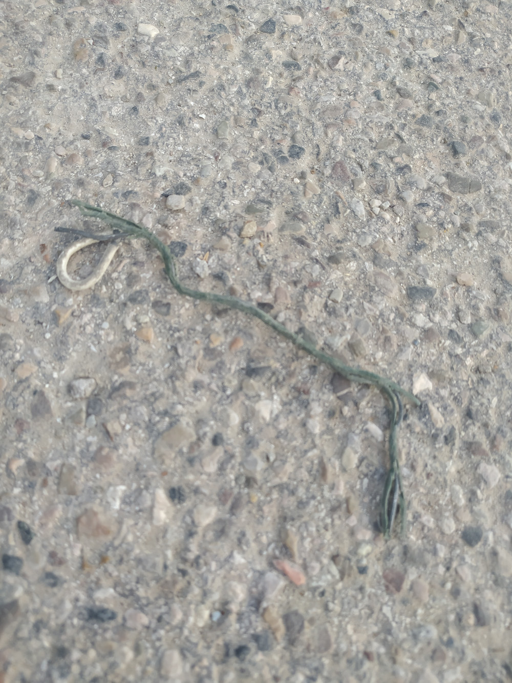 Litter evidence 19