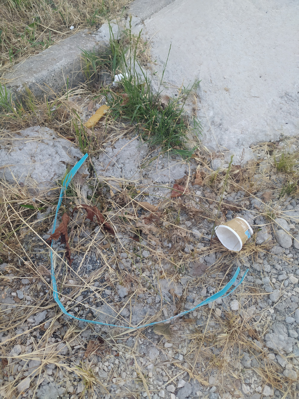 Litter evidence 20