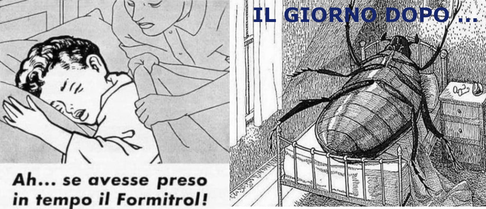 Formitrol