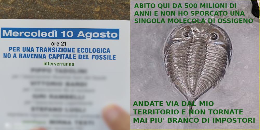 Fossile