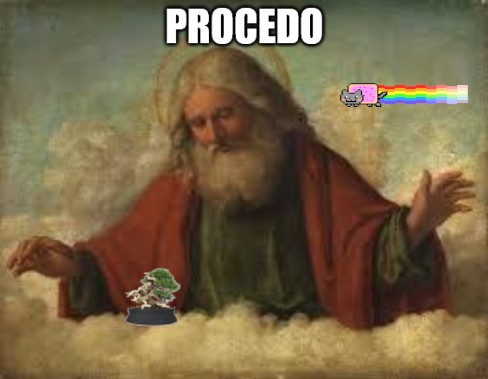 Pomodori 4