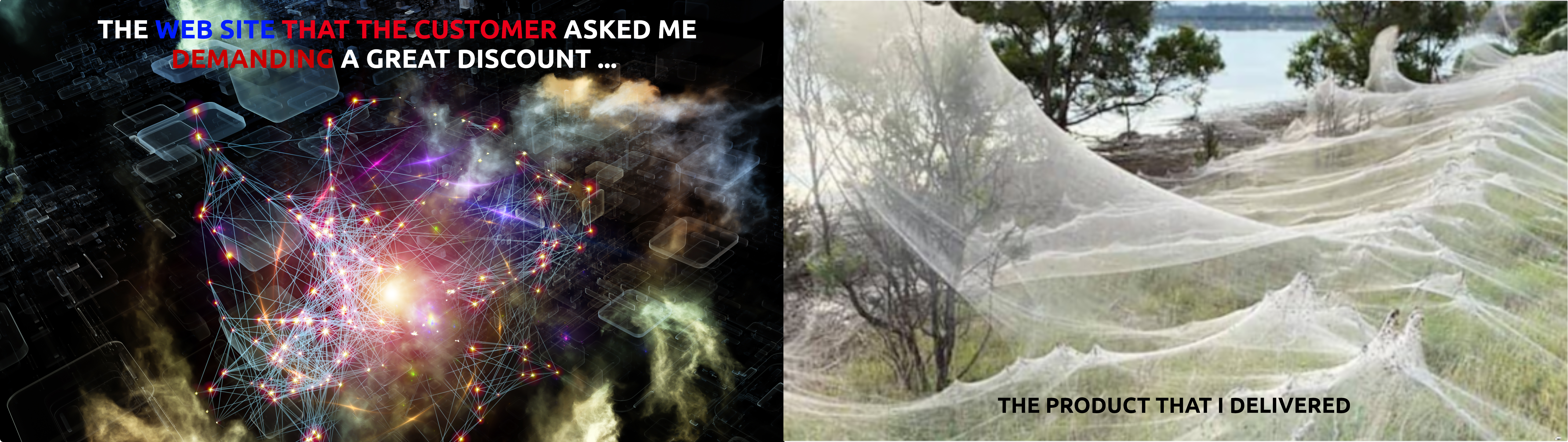 Web Site